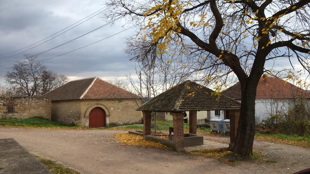 Country House Dunjin Konak Rogljevo Exterior foto