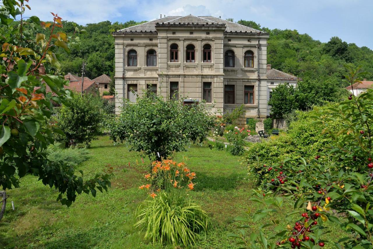 Country House Dunjin Konak Rogljevo Exterior foto